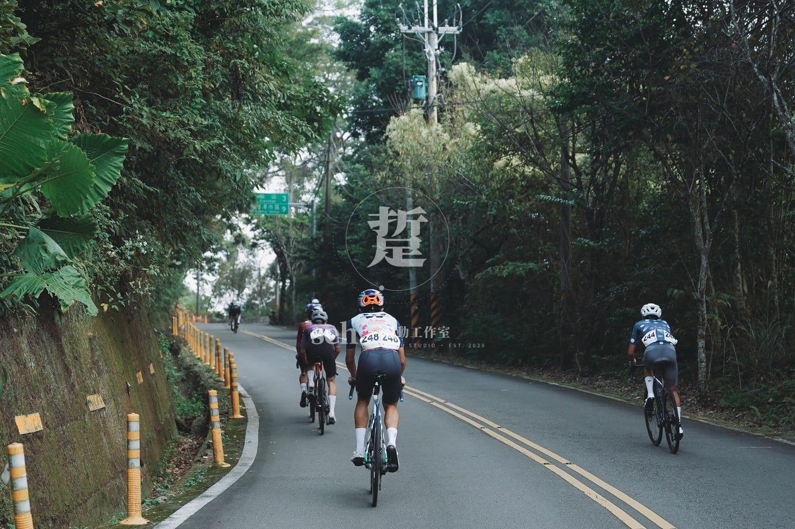 2026 南庄 KOM 爬坡賽 的代表照片