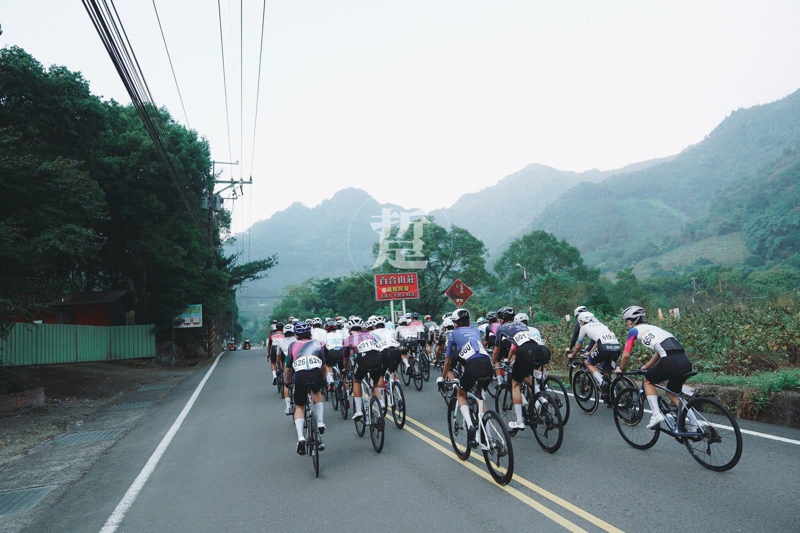 2026 南庄 KOM 爬坡賽 的代表照片